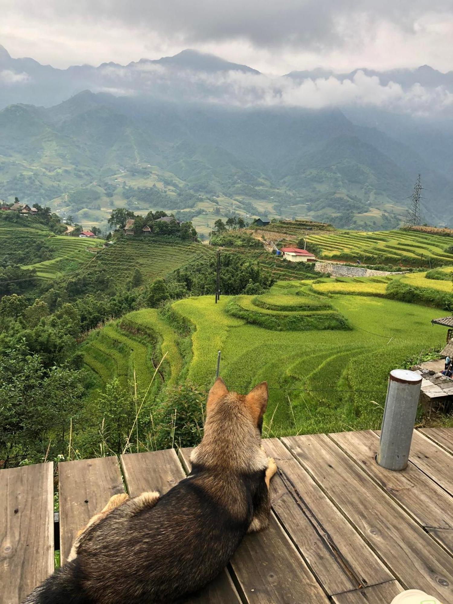 Sapa Rosie Stilt House公寓 外观 照片